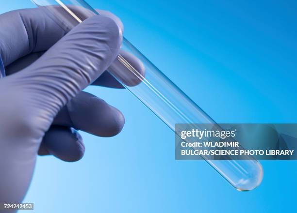 scientist holding empty test tube - reageerbuis stockfoto's en -beelden