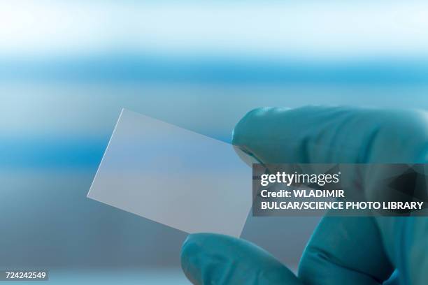 person holding microscope slide - lâmina de microscópio - fotografias e filmes do acervo