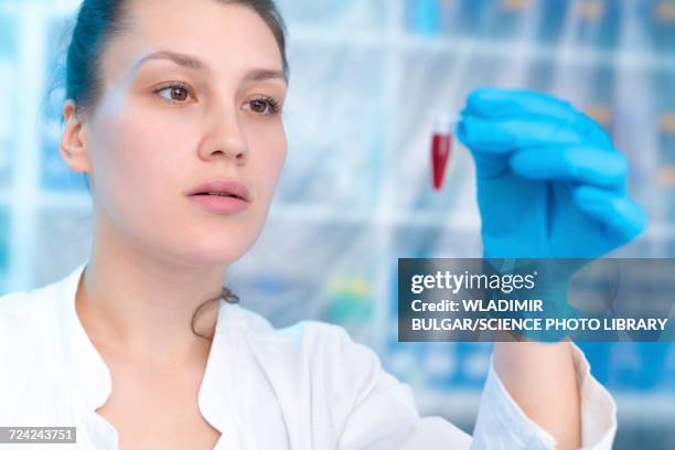 scientist holding eppendorf tube in laboratory - eppendorf tube stock pictures, royalty-free photos & images