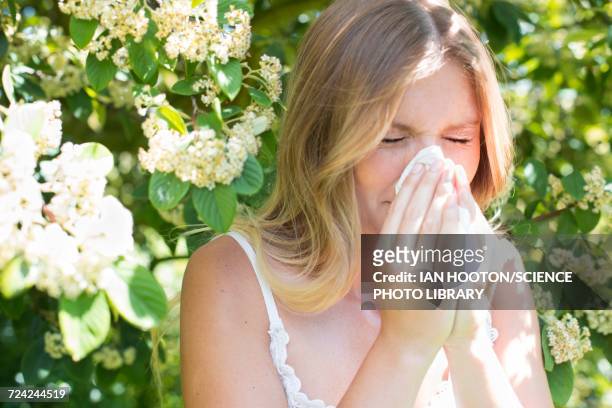 woman blowing nose on tissue - allergia foto e immagini stock