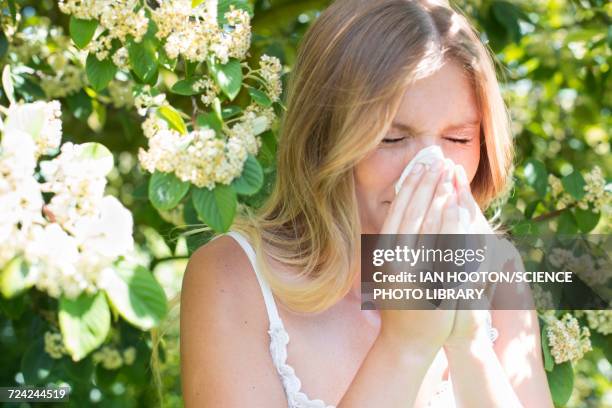 woman blowing nose on tissue - hayfever stockfoto's en -beelden