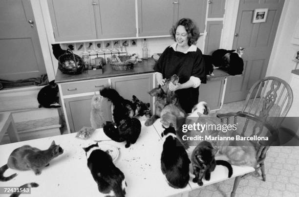 Actress Sandy Dennis in the kitchen of her home with some of her cats gathered around her.