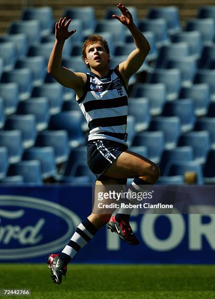 Gary Ablett for the Cats flies for a mark during the Geelong Football Clubs official AFL training session at Skilled Stadium in Geelong, Australia on...