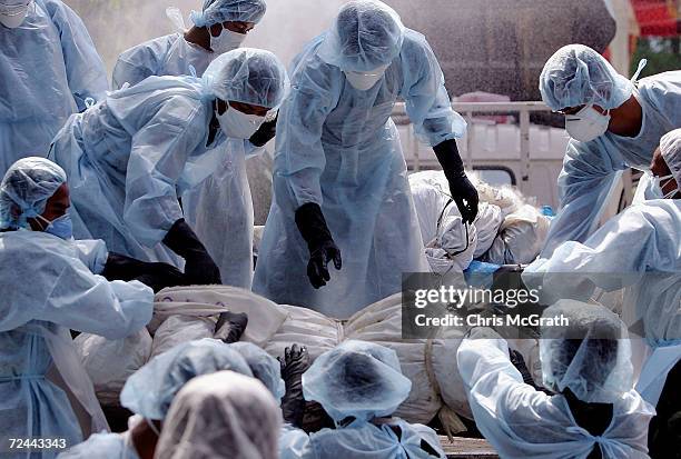 Medical workers load a corpse on to a truck in a makeshift morgue inside a Buddhist temple on January 2, 2005 in Takuap Pa, Thailand. The bloated and...