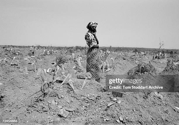 Woman stands silently in Chunga Cemetery, Lusaka, where thousands of people killed by AIDS are buried. It is estimated that 25.4 million people are...