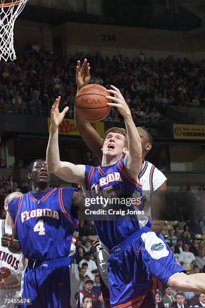 Forward Matt Bonner of the Florida Gators grabs a rebound as teammate Donnell Harvey looks on during Florida''s second-round NCAA East Regional game...