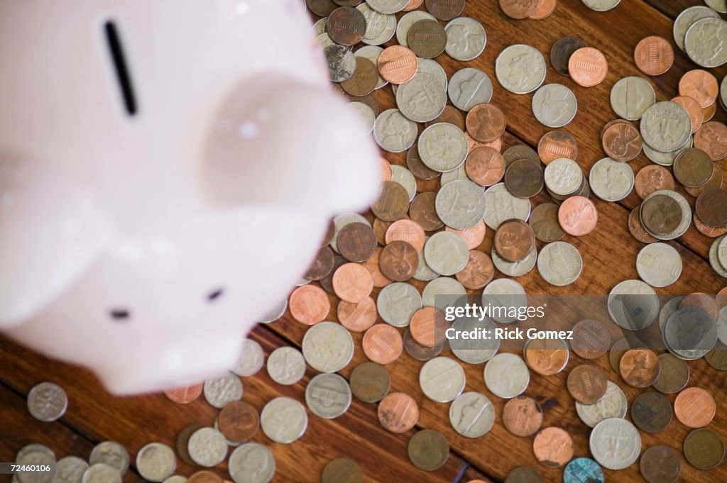 High angle view of piggy bank surrounded by coins