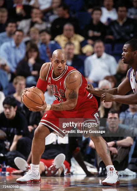 Forward Marcus Fizer of the Chicago Bulls posts up forward Alton Ford of the Phoenix Suns during the NBA game at the United Center in Chicago,...