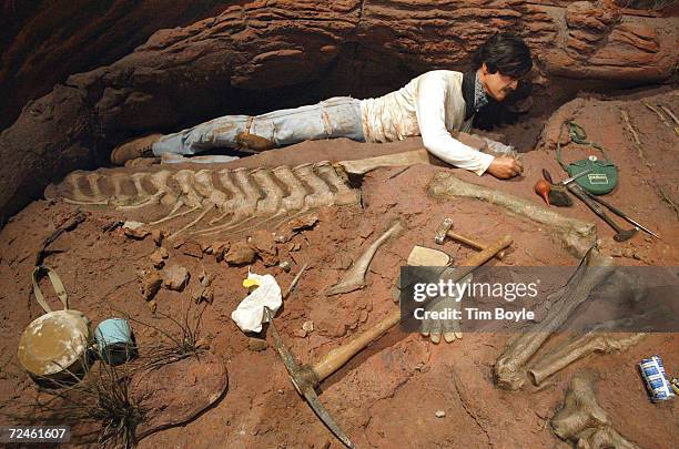 Paleontologist digs for dinosaur bones in this life-size model of the "Tiniest Giants: Discovering Dinosaur Eggs" exhibit March 12, 2002 at Chicagos...
