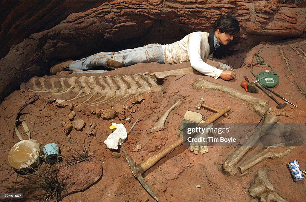 Tiniest Giants: Discovering Dinosaur Eggs Exhibit