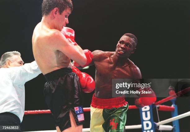 27 Wangila Stock Photos, HighRes Pictures, and Images Getty Images