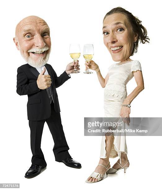 portrait of a senior couple toasting with champagne flutes - sac à main surdimensionné photos et images de collection