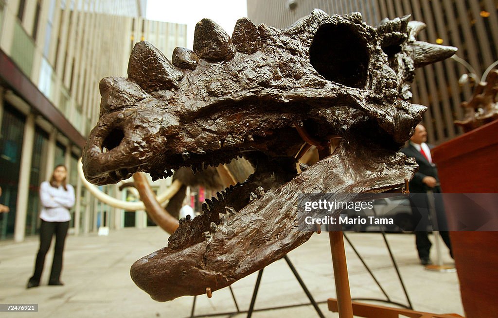 Dinosaurs Fossils Placed On The Auction Block