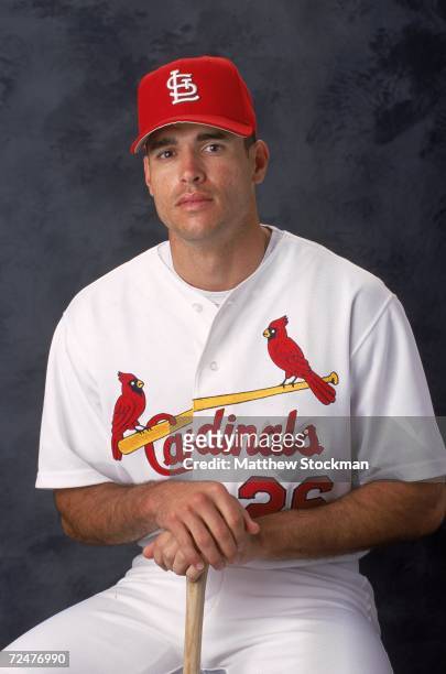 Catcher Eli Marrero of the St. Louis Cardinals poses for a studio portrait during Spring Training Photo Day in Jupiter, Florida. Mandatory Credit:...