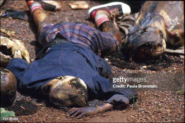 The body of a Tutsi genocide victim lies on the ground 100 km from Kigali in the Rebezo-Birenga sector of Rwanda May 1994. Hutu militias seeking to...