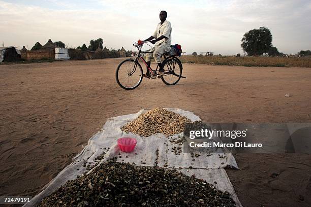 Sudanese refugee man rides his bicycle on November 8, 2006 in the Goz Amer Refugee Camp, Chad. Since 2004 refugees have fled from Darfur into the...