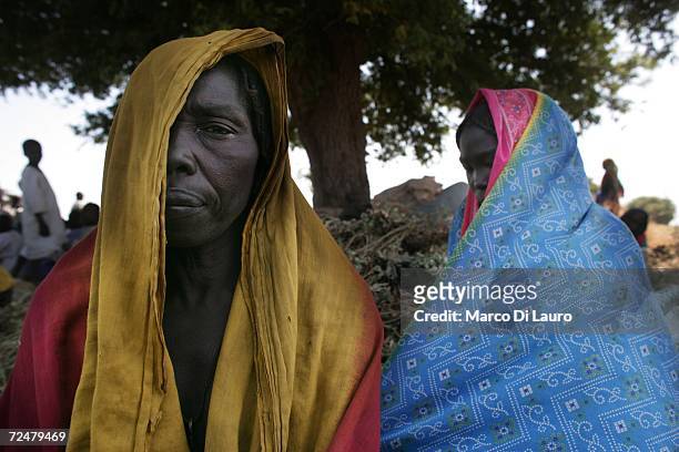 Chadian village women shelter under trees after an attack on their village forced them to flee on November 9, 2006 in a camp for internally displaced...
