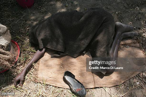 Chadian villager shelters under trees after an attack on their village forced them to flee on November 9, 2006 in a camp for internally displaced...