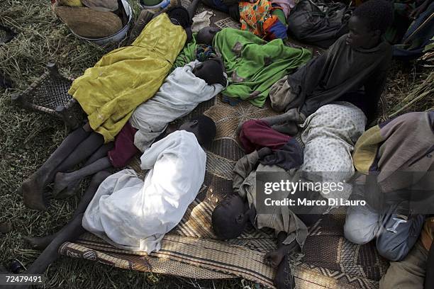 Young Chadian villagers rest under trees after an attack on their village forced them to flee on November 9, 2006 in a camp for internally displaced...
