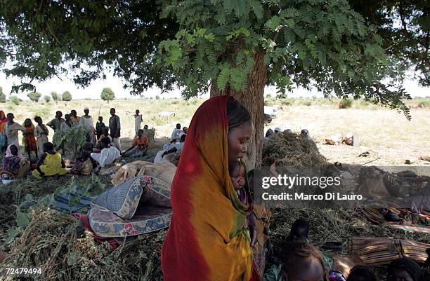 Chadian village women protects her child as others shelter under trees after an attack on their village forced them to flee on November 9, 2006 in a...