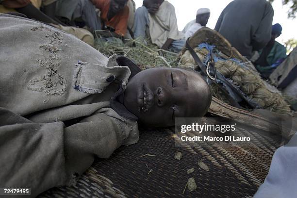 Chadian village boy finds shelter under trees after an attack on his village forced him to flee on November 9, 2006 in a camp for internally...