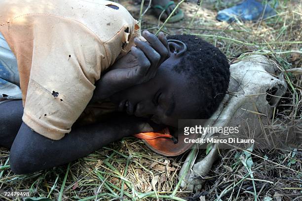 Chadian village man rests on an animal skull under trees after an attack on their village forced him to flee on November 9, 2006 in a camp for...
