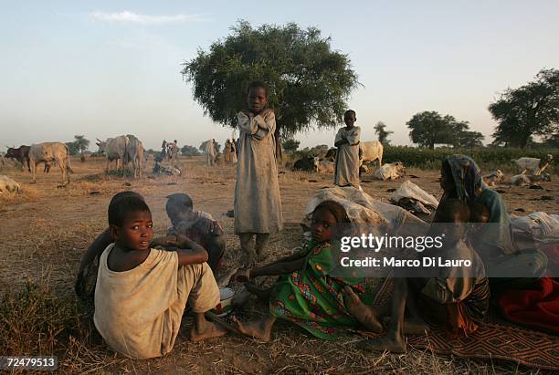 Chadian village children shelter under trees after an attack on their village on November 9, 2006 in a camp for internally displaced Chadians at...