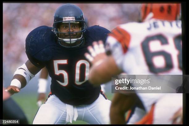 Linebacker Mike Singletary of the Chicago Bears looks on during a game against the Cincinnati Bengals on September 10, 1989 at Soldier Field in...