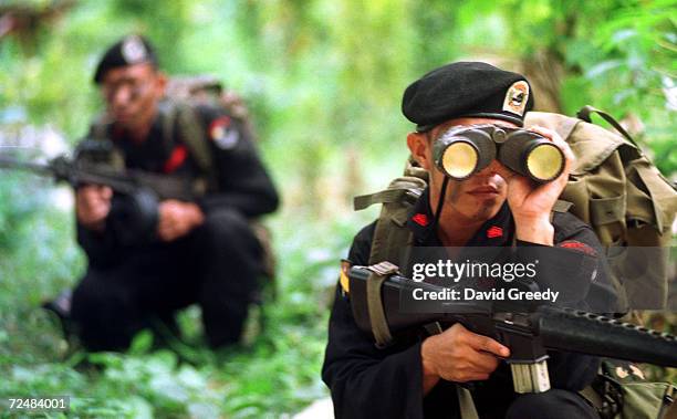 Scout Rangrt 113 Philippine Scout Rangers Stock Photos, High-Res Pictures, and ...