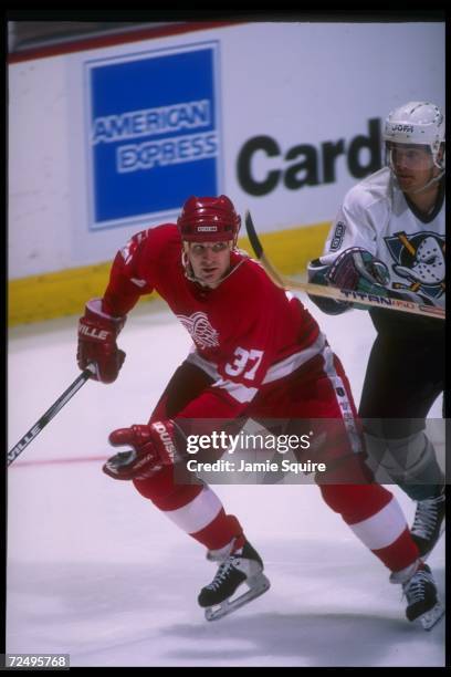 Center Tim Taylor of the Detroit Red Wings and rightwinger Teemu Selanne of the Anaheim Mighty Ducks moves down the ice during a game at Arrowhead...