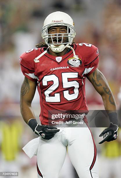 Eric Green of the Arizona Cardinals celebrates on the field during the game against the Denver Broncos on August 31, 2006 at Cardinals Stadium in...