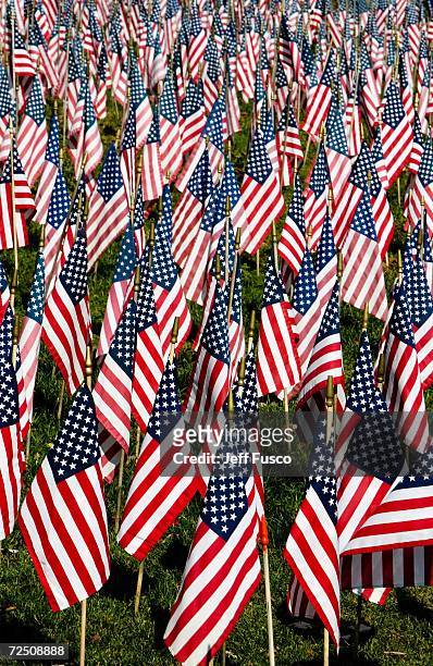 Flags line the Iraq War Flag Memorial at the Prospect Hill Cemetery November 11, 2006 in York, Pennsylvania. More than 180 flags were added to the...