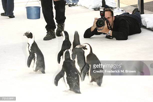 Photographer Chris Pizzello attends the film premiere of "Happy Feet" at Grauman's Chinese Theatre on November 12, 2006 in Hollywood, California.