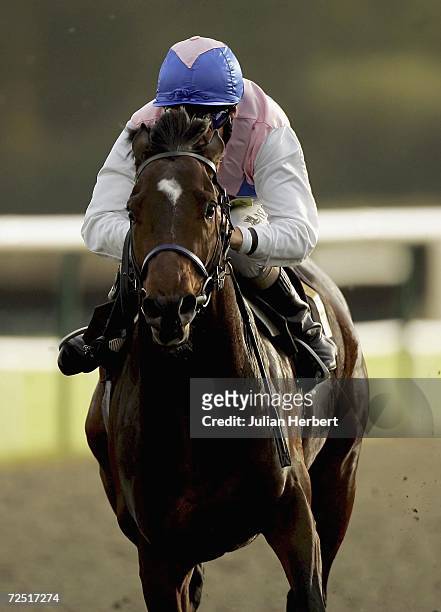 Eddie Ahern and Cesc land The Sid Latham 90TH Bithday Nursery Handicap Stakes Race run at Lingfield on November 13 in Lingfield, England.