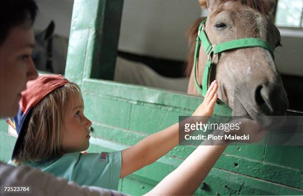Young girl pets one of the horses that is presented at the annual world famous horse auction August 12, 2000 in Janow Podlaski, Poland. The auction...