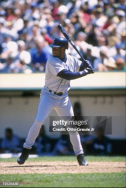 Centerfielder Ken Griffey Jr. Of the Seattle Mariners stares back at the pitchers mound as he awaits the delivery of a pitch during an at-bat in the...