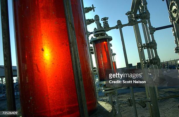 Oil is collected at a production facility at the Burgan oil field January 13, 2003 in Central Kuwait. The oil field, the largest in the world, was...