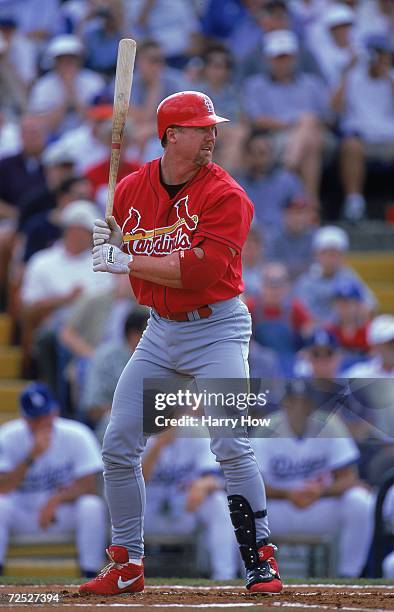 Mark McGwire of the St. Louis Cardinals stands ready at bat during a Spring Training Game against the Los Angeles Dodgers at the Holman Stadium in...