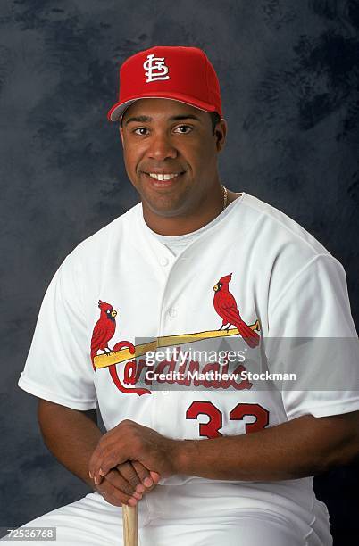 Outfielder Eduardo Perez of the St. Louis Cardinals poses for a studio portrait during Spring Training Photo Day in Jupiter, Florida. Mandatory...