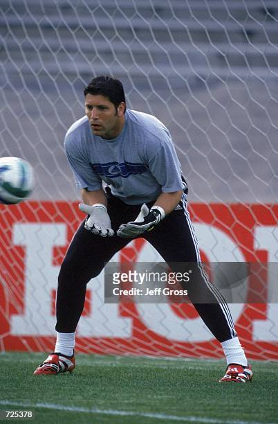 Goalie Tony Meola of the Kansas City Wizards in action during the game against the Los Angeles Galaxy at the Rose Bowl in Pasadena, California. The...