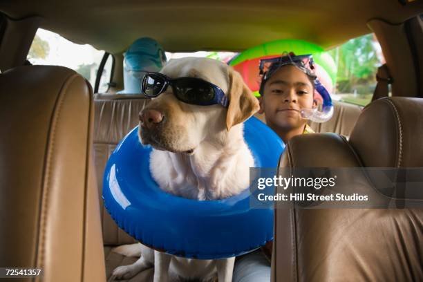 hispanic boy and dog with beach gear in backseat of car - auto spaß stock-fotos und bilder