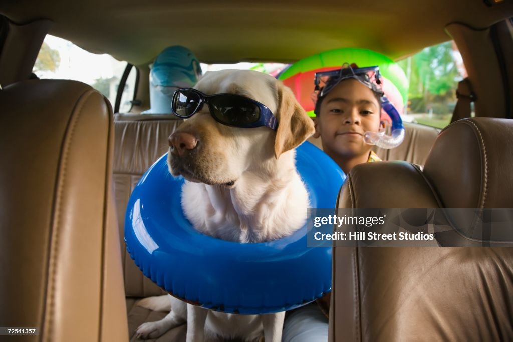 Hispanic boy and dog with beach gear in backseat of car