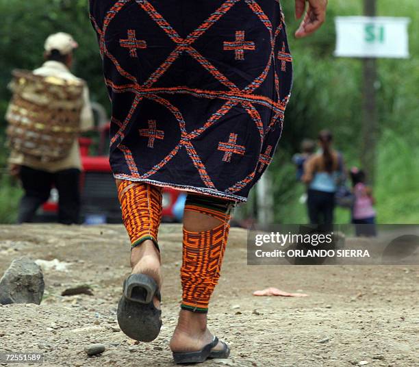 Kuna Ruda 45 Kuna Nega Stock Photos, High-Res Pictures, and Images - Getty Images