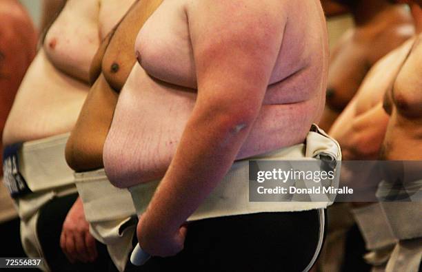 Competitors line up during the US Sumo Open at the Los Angeles Convention Center on March 19, 2005 in Los Angeles, California.