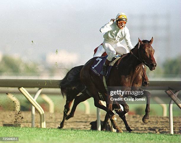 Jockey Walter Swinburn aboard Pilsudski celebrates as he crosses the finish line to win the Breeders' Cup Turf race at Woodbine Racetrack in Toronto,...