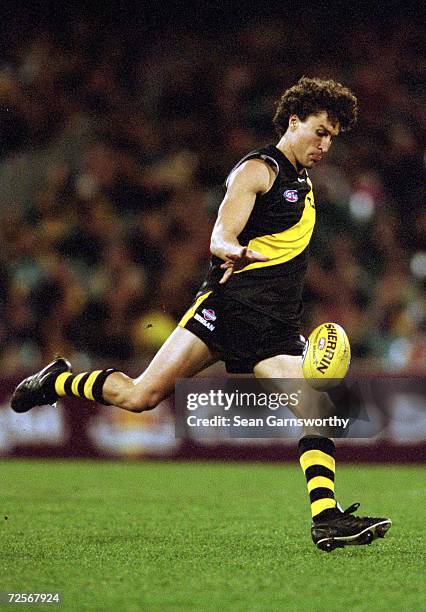 Darren Gasper for Richmond in action during the round 16 AFL match played between the Richmond Tigers and the Melbourne Demons held at the Melbourne...