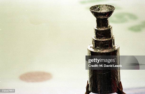 Philadelphia Flyers fan came prepared with a homemade Stanley Cup made out of tin foil during the Flyer''s 5-2 victory over the Buffalo Sabres to...