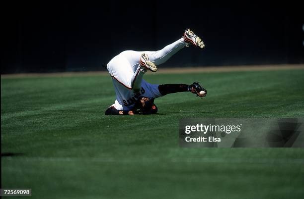 Outfielder Barry Bonds of the San Francisco Giants tumbles after he catches the ball during the game against the Cincinnati Reds at 3Com Park in San...