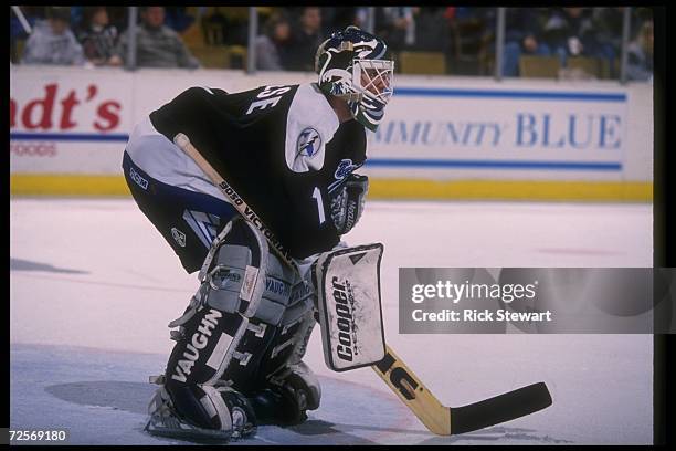 Goaltender Jeff Reese of the Tampa Bay Lightning looks on during a game against the Buffalo Sabres at Memorial Auditorium in Buffalo, New York. The...