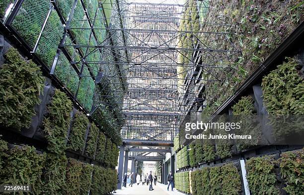 The world's largest green wall, 150 metres in length and 15 metres in height called the "Bio-lung", is seen during the press day of the Aichi World...
